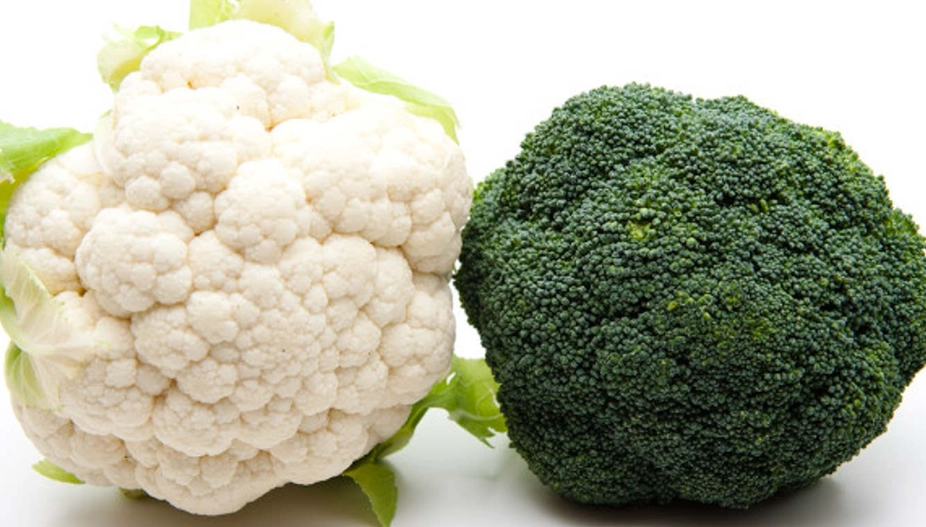 青花菜營養價值 青花菜營養價值