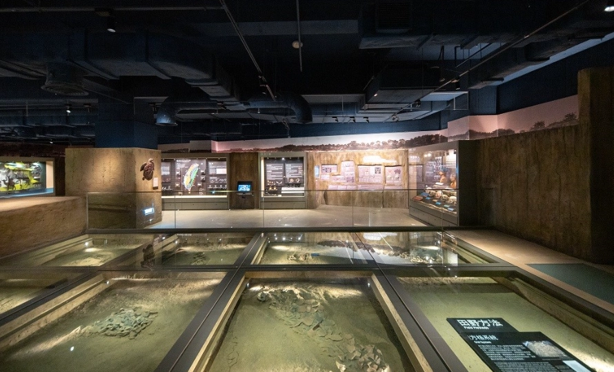 考古博物館 展覽 考古博物館 展覽