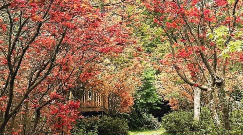 台北親子農場 台北親子農場