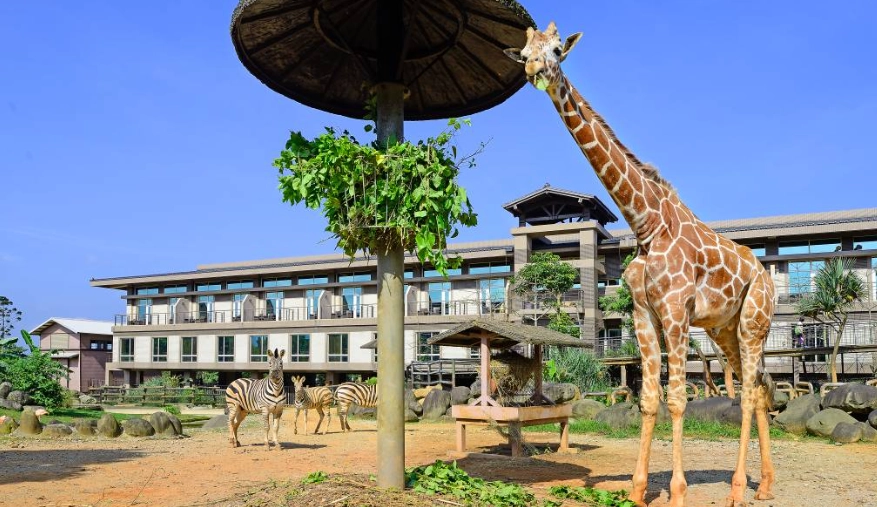 關西六福莊生態導覽