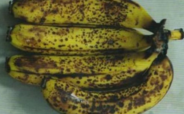 香蕉保存方法 香蕉保存方法