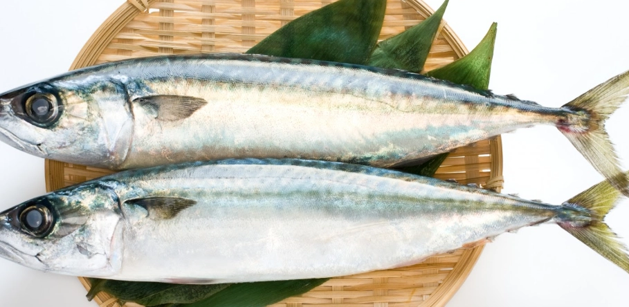 脂肪肝改善方法