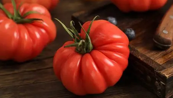 牛番茄病蟲害防治