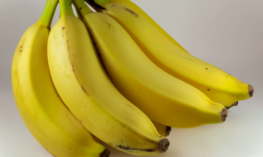 酒精性胃炎 治療 酒精性胃炎 治療