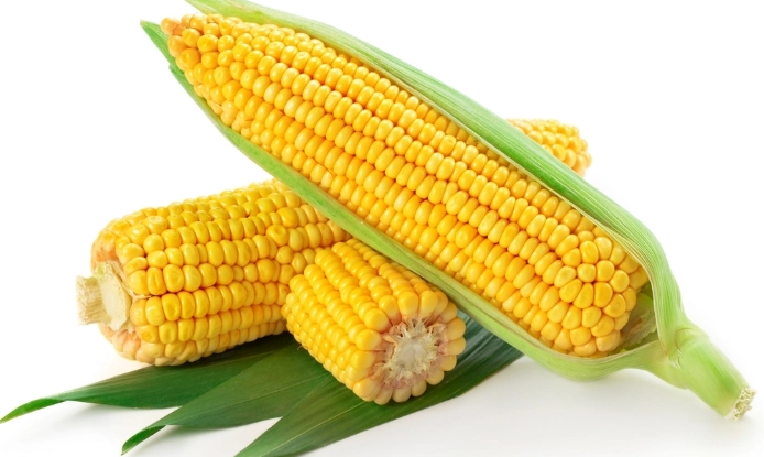 玉米營養價值