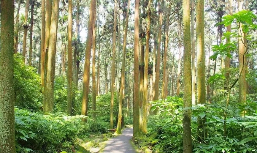南投家庭旅遊 南投家庭旅遊