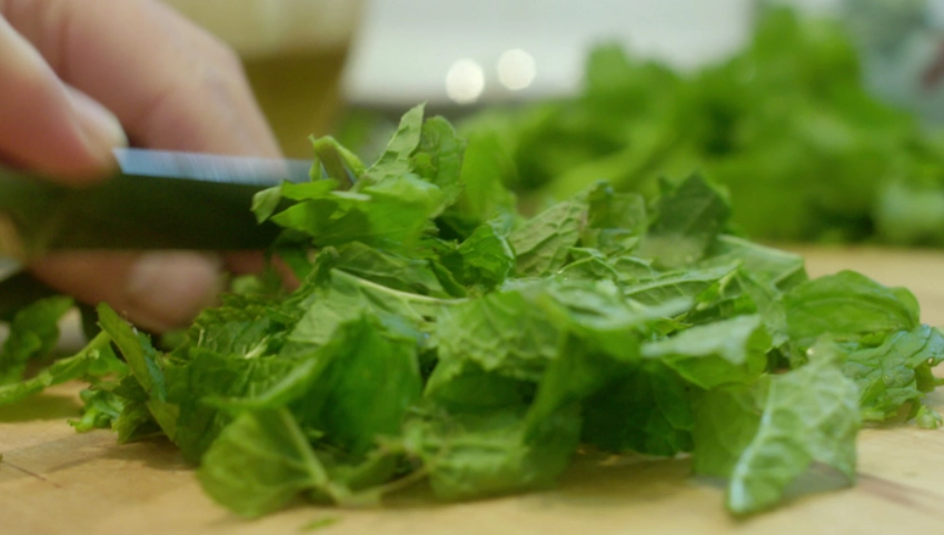 防蚊藥膏選擇 防蚊藥膏選擇