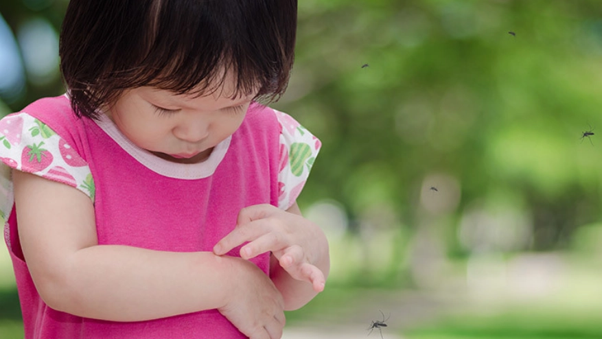 類固醇藥膏蚊子叮 類固醇藥膏蚊子叮