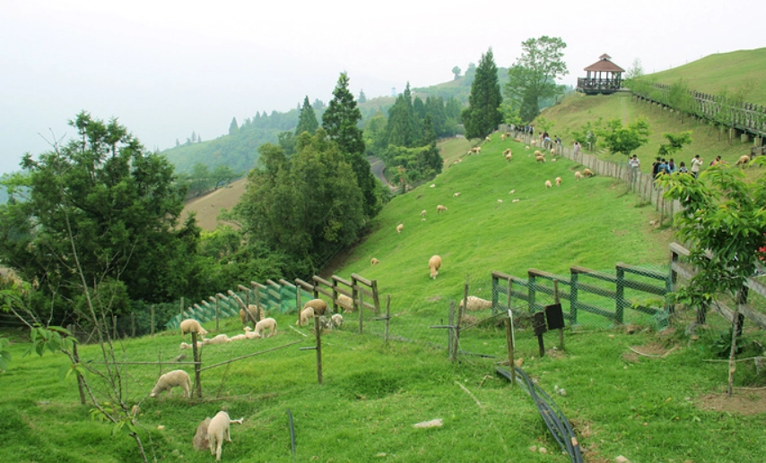 南投親子景點 南投親子景點