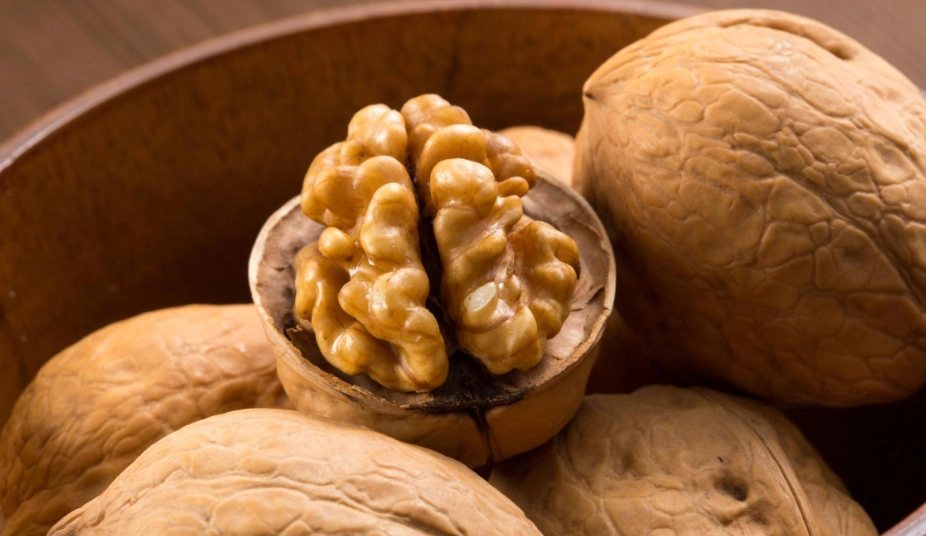 耳鳴中藥方劑 耳鳴中藥方劑