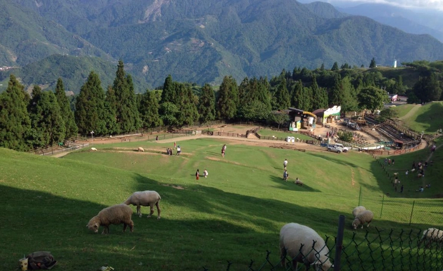 南投親子景點 南投親子景點