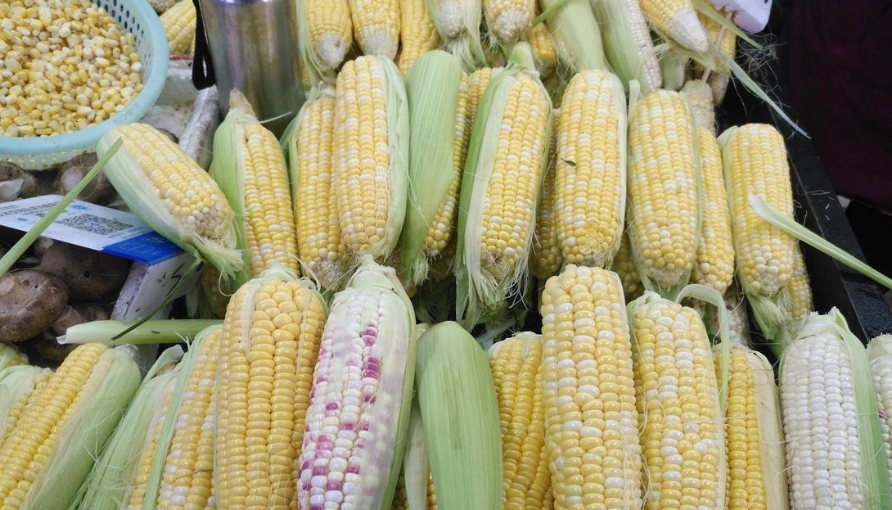 玉米營養價值