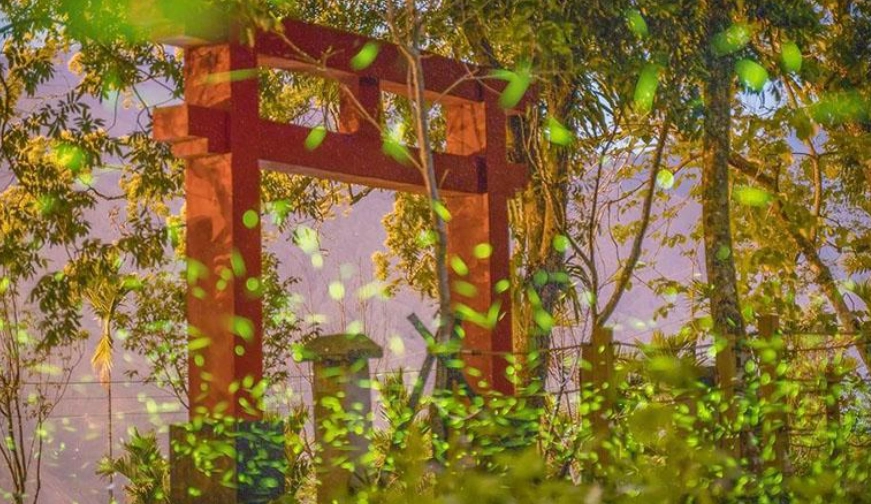 那瑪夏景點推薦 那瑪夏景點推薦