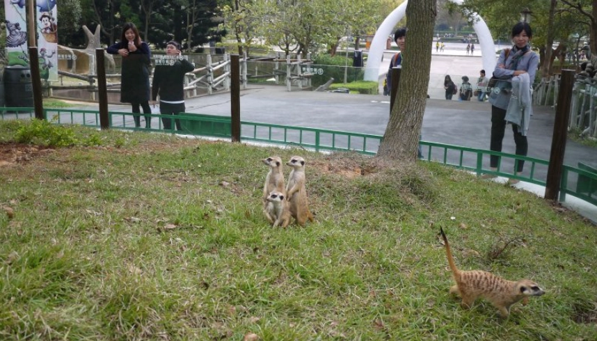 六福村動物體驗