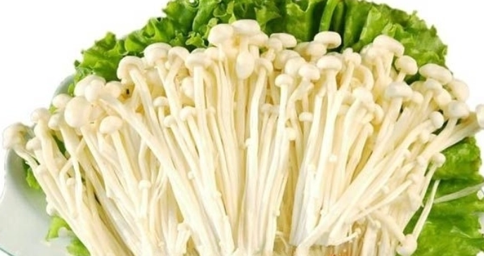 金針菇食譜 金針菇食譜