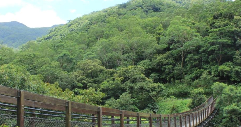 春節避開人潮 春節避開人潮