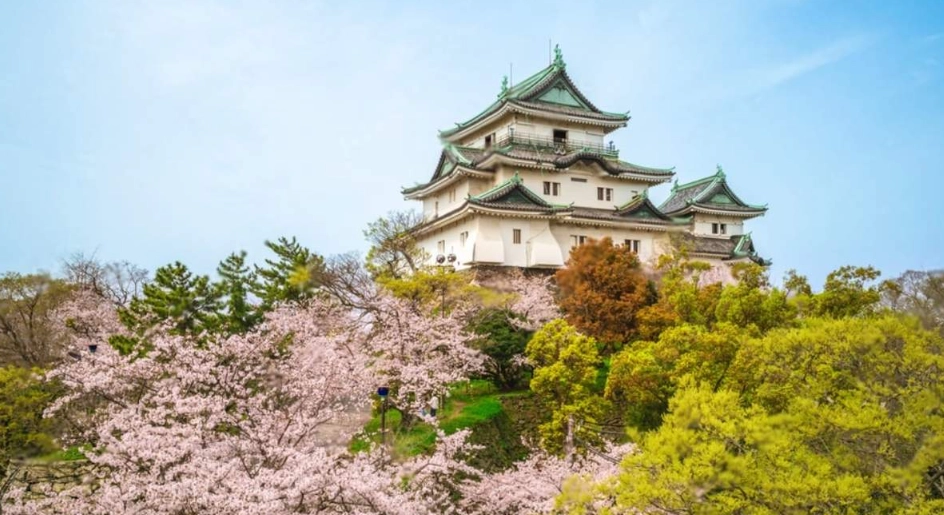 黑潮號時刻表 黑潮號時刻表