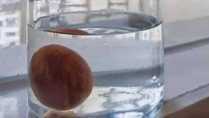 牛油果保存方法 牛油果保存方法