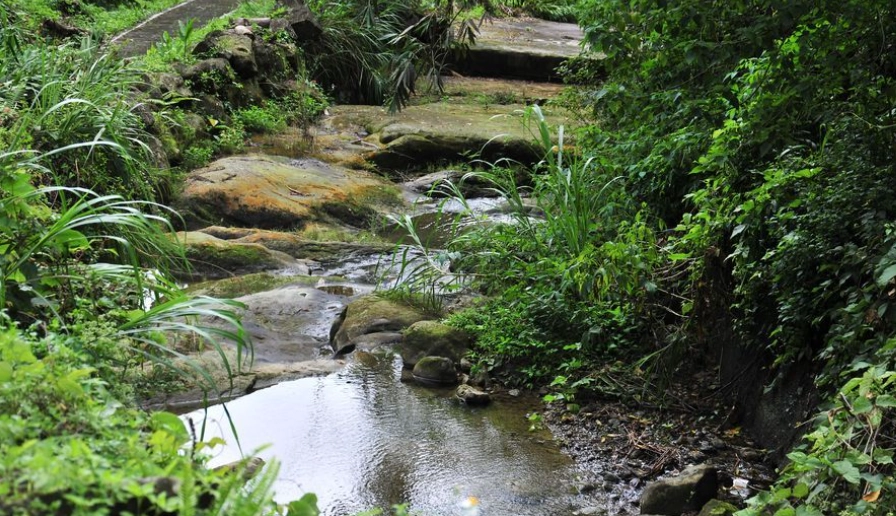 那瑪夏一日遊 那瑪夏一日遊
