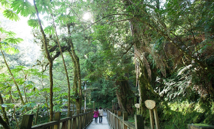 拉拉山住宿推薦
