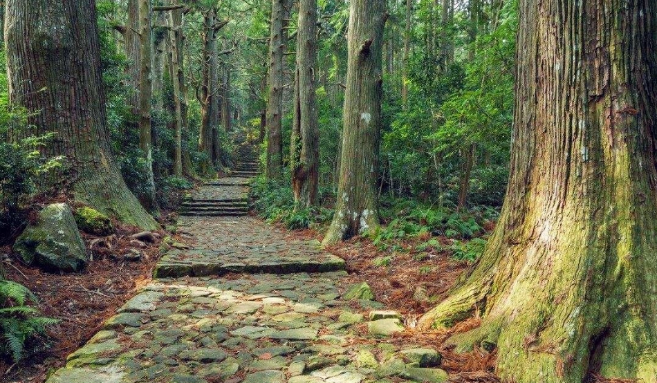 和歌山行程 和歌山行程