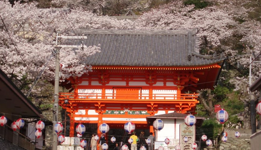 關西廣域鐵路周遊券 關西廣域鐵路周遊券