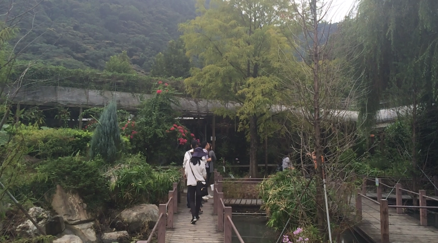 台灣過年去哪裡 台灣過年去哪裡