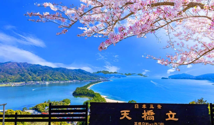 天橋立交通 天橋立交通