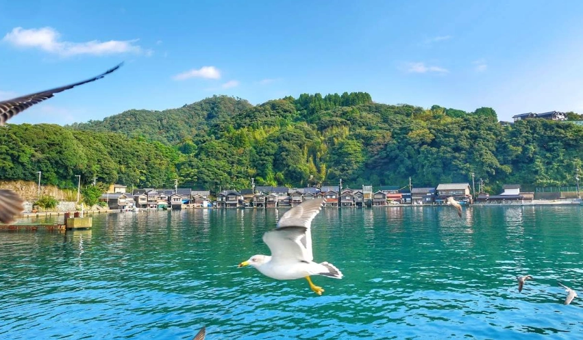 伊根舟屋住宿 伊根舟屋住宿