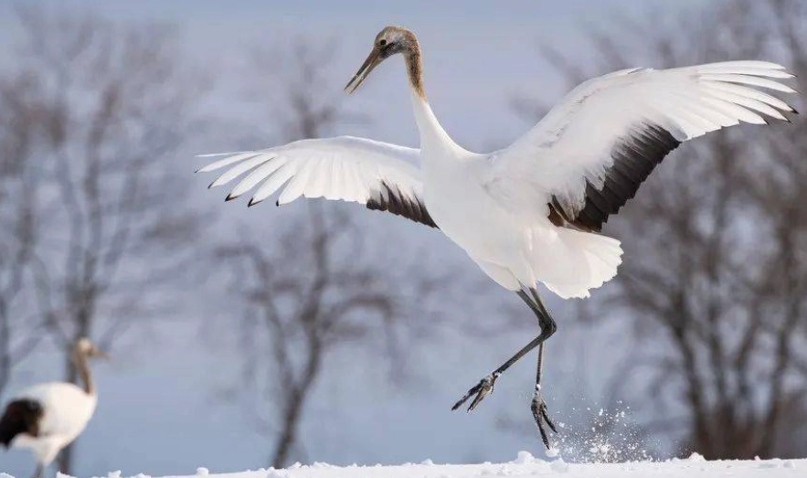 北海道15天費用