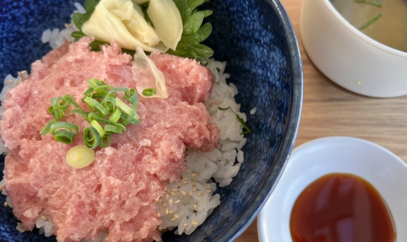 天王寺到和歌山交通 天王寺到和歌山交通
