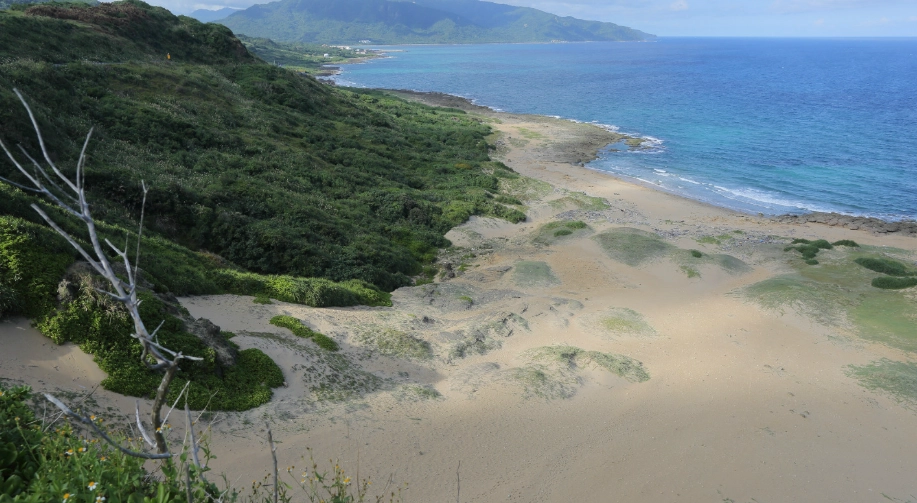 台南情侶行程 台南情侶行程
