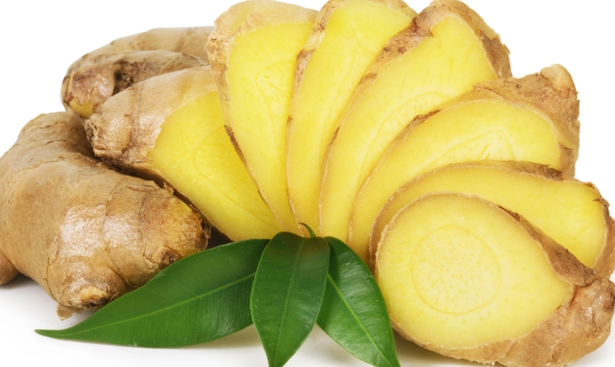 小孩長肉食譜 小孩長肉食譜