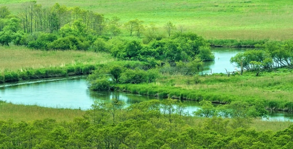 北海道道東自駕 北海道道東自駕