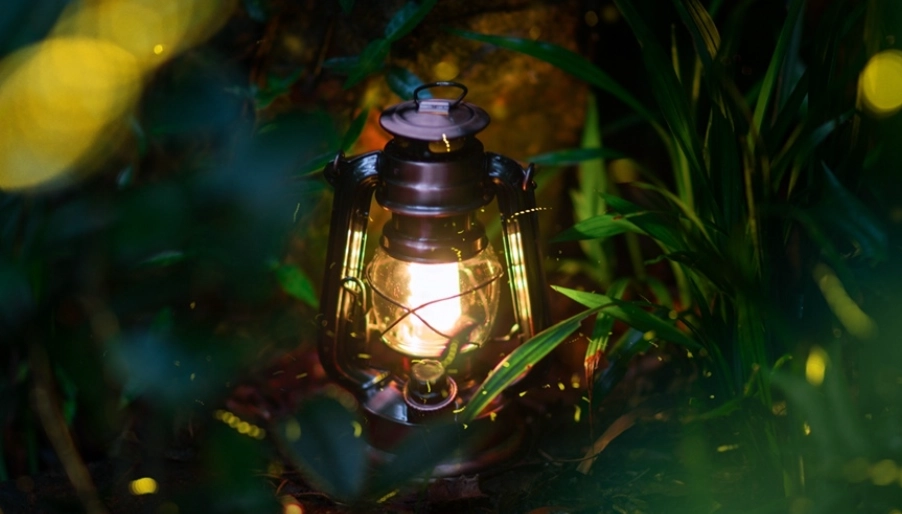 螢火蟲季節 螢火蟲季節