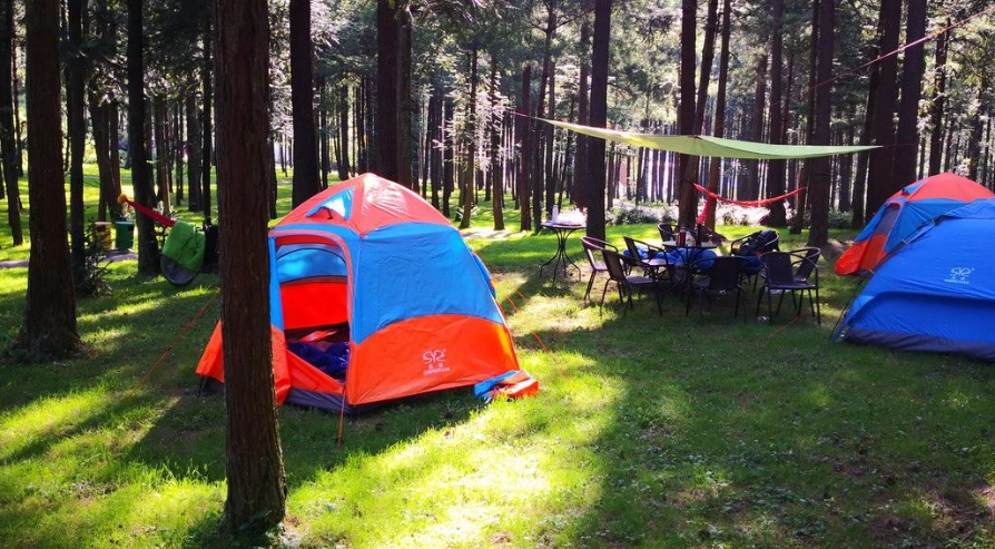 懶人露營 懶人露營