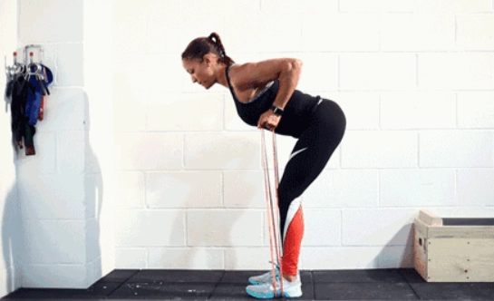 居家背部訓練 居家背部訓練