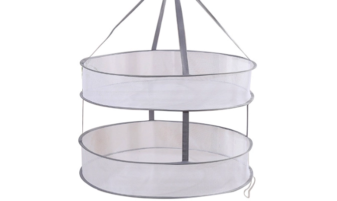 曬蒜頭方法 曬蒜頭方法