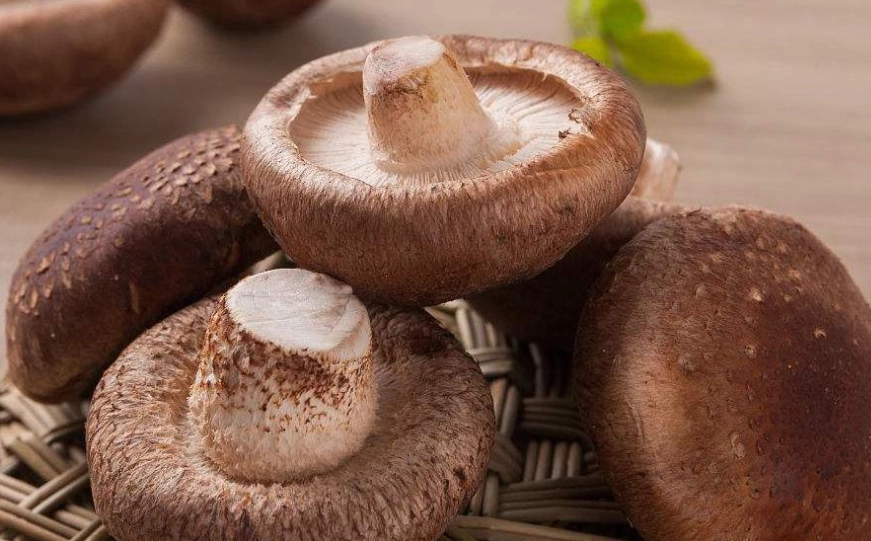 兒童長高食譜 兒童長高食譜