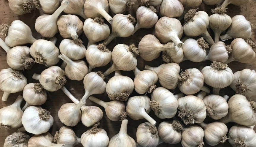 冷凍蒜頭保存期限