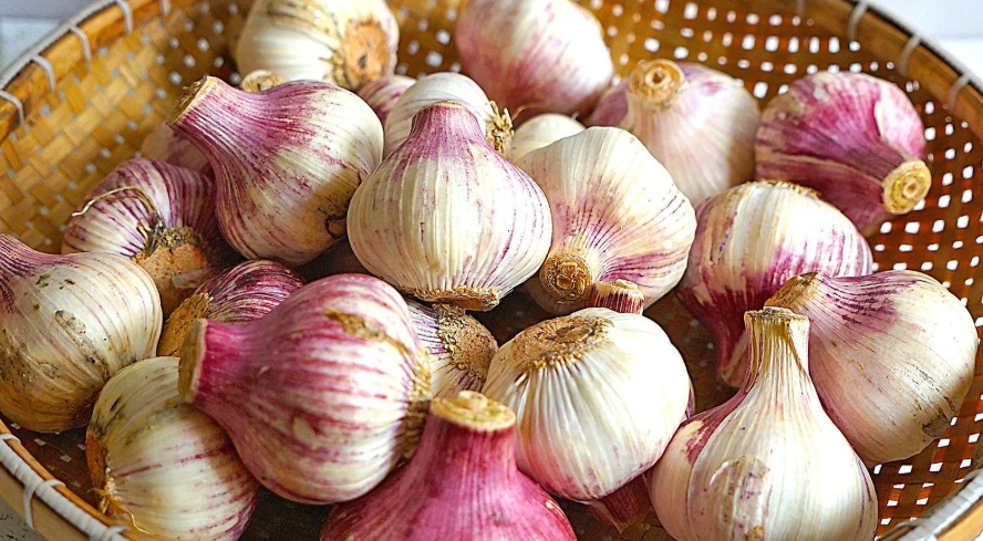 蒜頭吃太多壞處