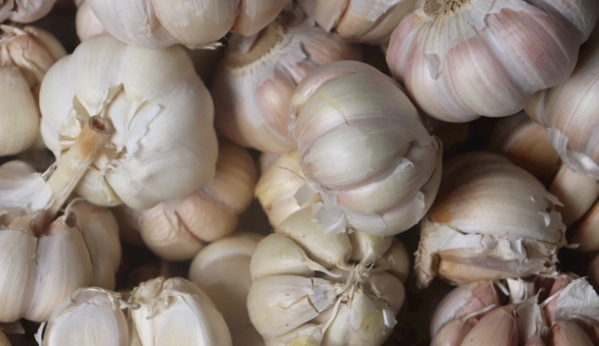 乾燥蒜頭哪裡買 乾燥蒜頭哪裡買
