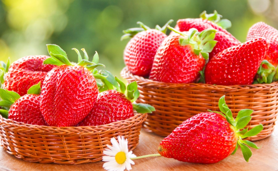 長高水果 長高水果