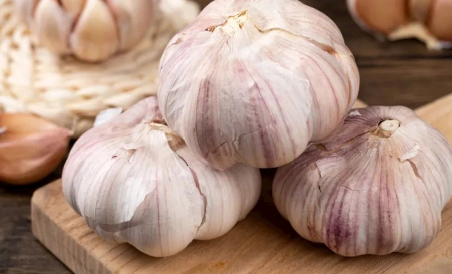 蒜頭不發芽 蒜頭不發芽