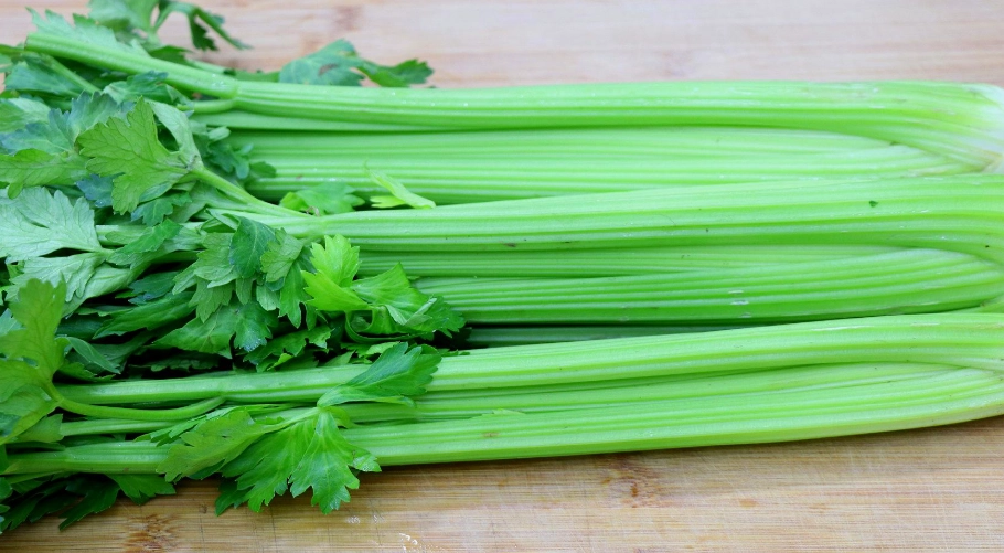 脂肪肝中藥調理 脂肪肝中藥調理