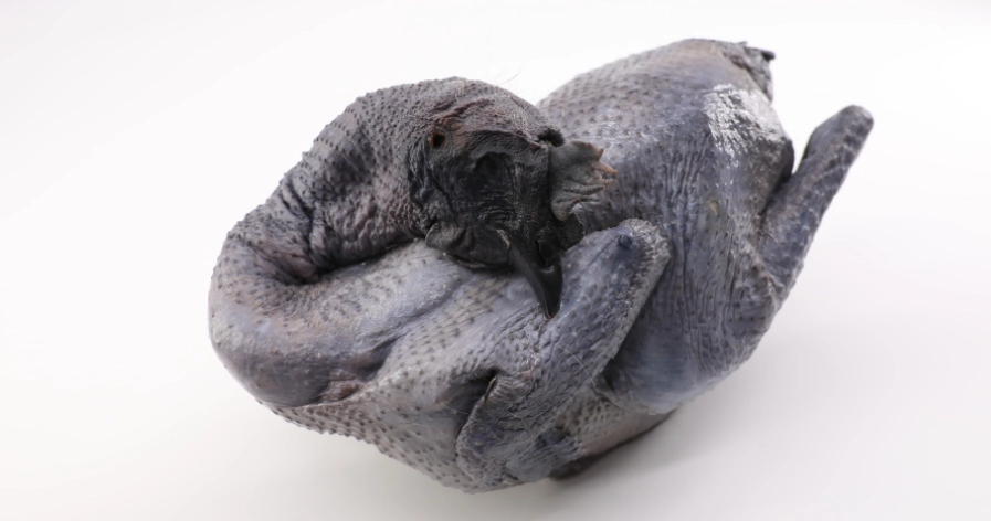 十全大補湯 配料 十全大補湯 配料