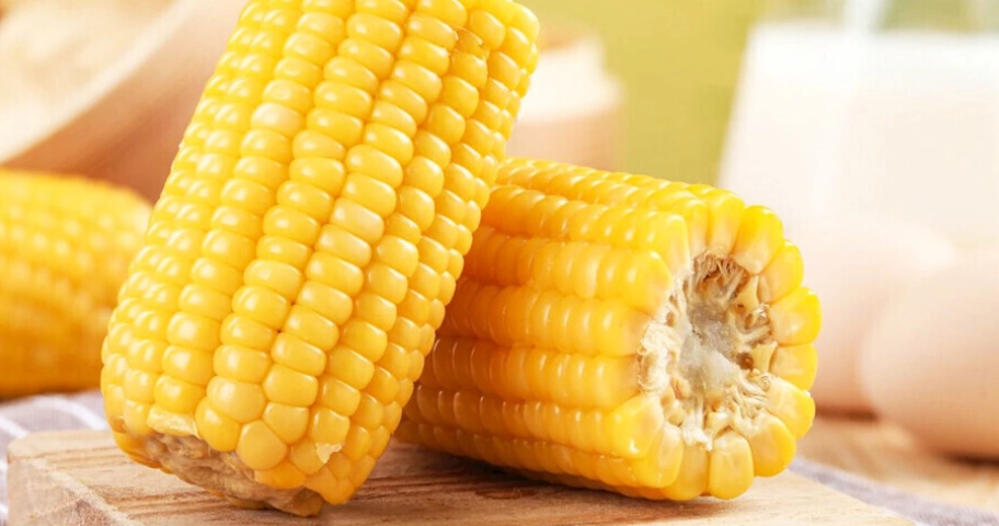 十全大補湯 加料 十全大補湯 加料