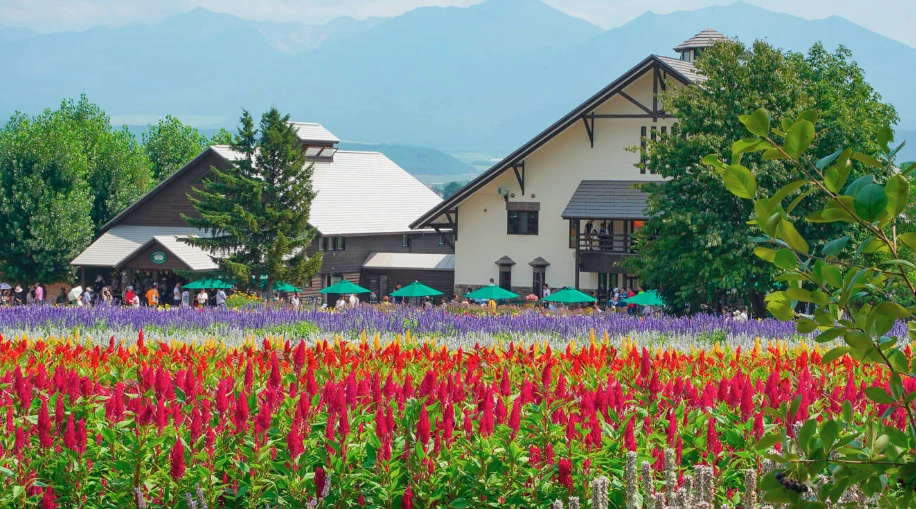 北海道夏季交通 北海道夏季交通