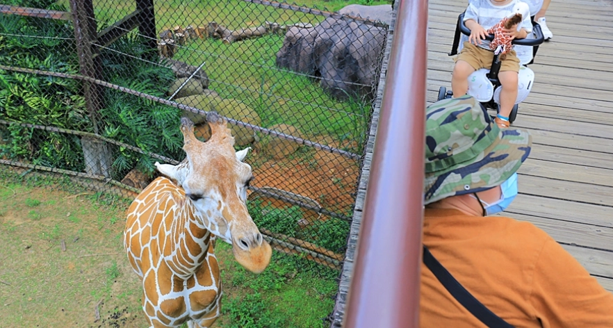 六福村關西六福莊 六福村關西六福莊