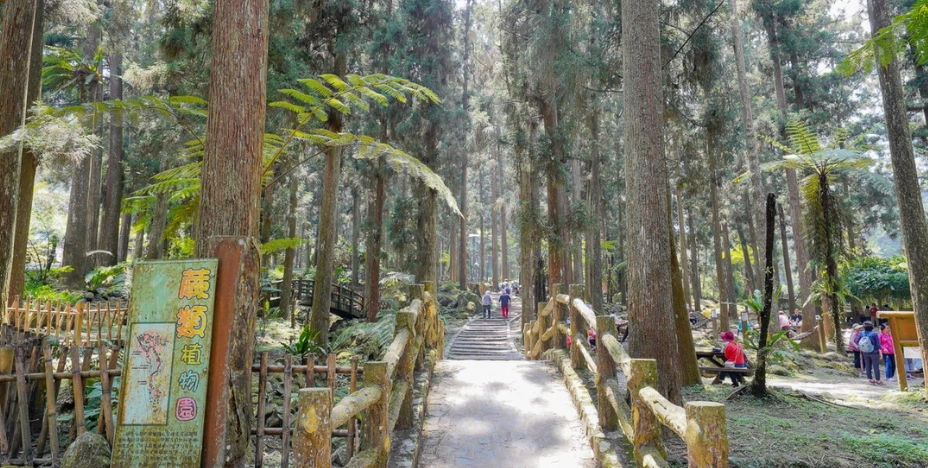 南投秘境 南投秘境